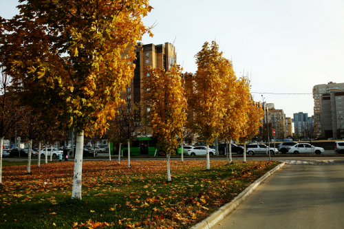 В пятницу в Татарстане еще сохранится теплая погода