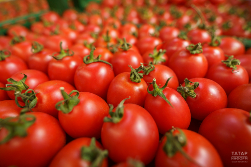 В Татарстане почти на 12% подорожали помидоры