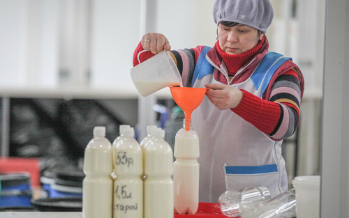 «Мы столько никогда не теряли»: почему упали цены на молоко у фермеров