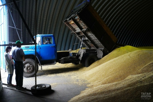 «Год был весьма трудным»: Минсельхоз РТ отреагировал на снижение производства зерна
