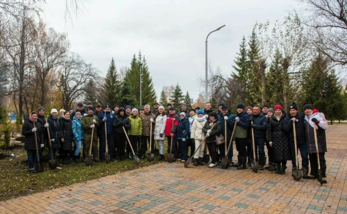 В День народного единства мэр Челнов с командой посадил 350 елей в парке Победы