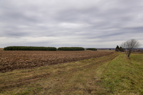 В Татарстане прогнозируются дожди и похолодание до нуля градусов к выходным