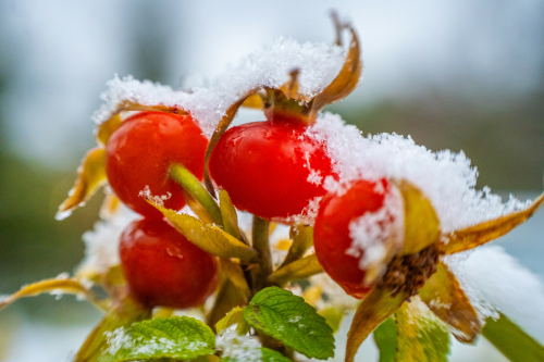 Эксперт рассказал, когда ляжет снег в Татарстане и какой будет предстоящая зима
