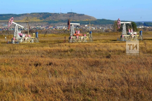 Эксперт: Российская нефть подорожает к концу 2024 года