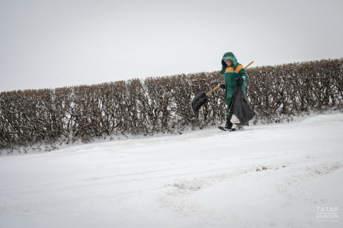«Горводзеленхоз» выделит 10,3 млн рублей на дорожных рабочих в Казани