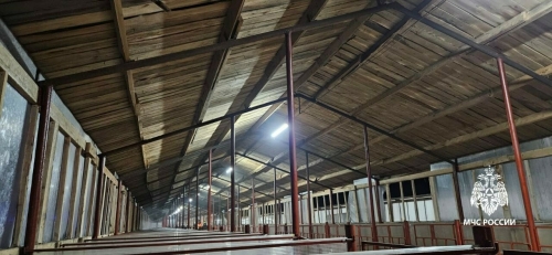 В одном из сел Татарстана во время пожара на ферме погибли 25 телят