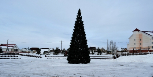 В Бавлах определены места для запуска пиротехники в новогодние праздники