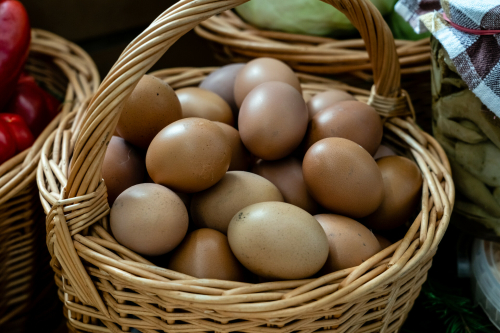 Производство яиц в Татарстане на 13% выше нормы — Минсельхозпрод РТ