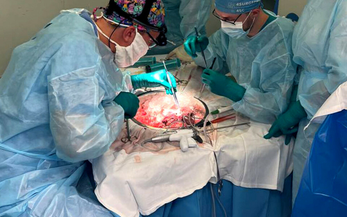 «Печень с паразитами оперировали отдельно от пациента»: в РКБ провели редкую операцию