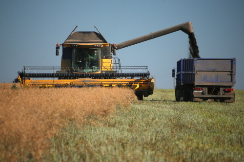 Татарстан получит 260 млн рублей на поддержку производителей зерновых