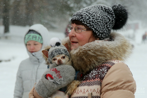 Гидрометцентр РТ: Январь в Татарстане выдастся более снежным, чем обычно