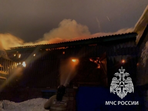 Пожарные добровольцы спасли скот из ночного пожара в татарстанском селе