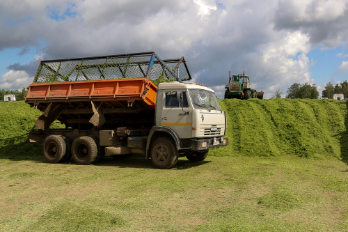 Минсельхозпрод назвал лидеров и аутсайдеров среди районов Татарстана по заготовке кормов