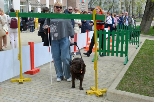 «Зрячие люди окунутся в мир незрячих»: Кремль в Казани примет фестиваль собак-проводников