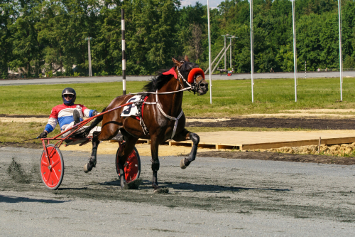 Эльмира Калимуллина, скачки и национальная кухня: программа Сабантуя-2023 в Казани