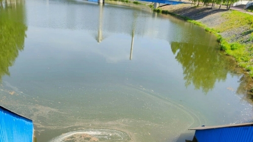 Власти Альметьевска рассказали о причинах загрязнения Каскада прудов нечистотами