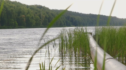 Нижнекамские экологи восстанавливают водно-биологический баланс озера Каракуль