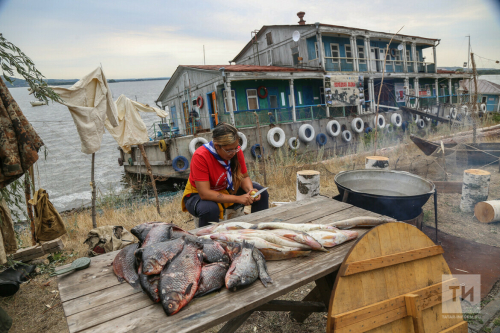 Парад судов и уроки по завязыванию морских узлов: в Свияжске пройдет «Народная лодка»