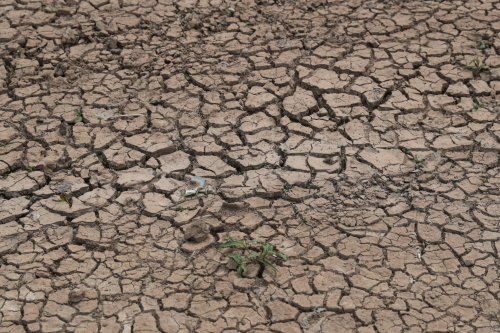 Климатолог: К концу XXI века климатическими мигрантами может стать треть населения Земли