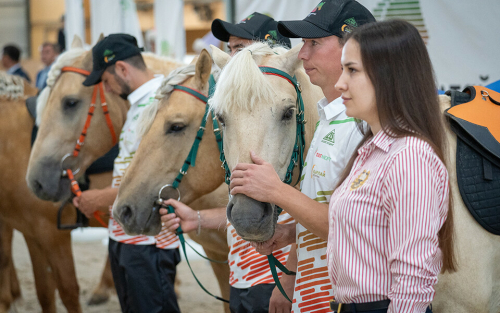 Конный пробег за 38 дней: Татарстан подарит Алтаю лошадей татарской породы