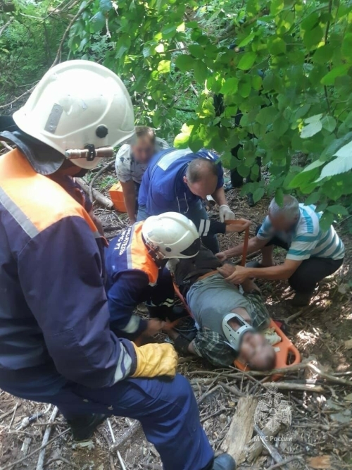 В Татарстане спасли мужчину, на которого упало дерево