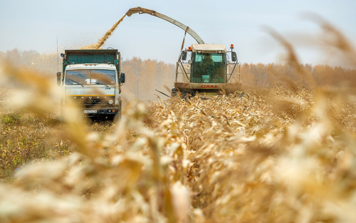 «Рассчитываем на 3,7 млн тонн зерна»: Минсельхоз Татарстана готовится к ЧС из-за засухи