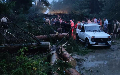 В МЧС Марий Эл уточнили, что в результате урагана возле Яльчика погибли шесть человек