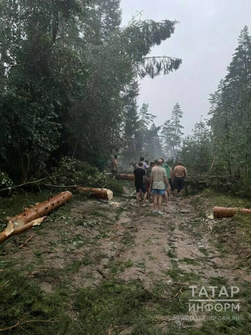В Татарстане 26 детских лагерей пострадали от урагана
