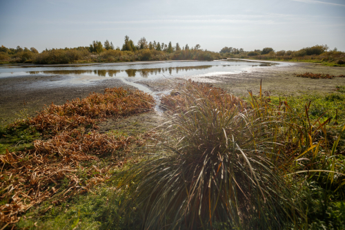 Работы по рекультивации иловых полей в Казани в 2023 году выполнят на 60%