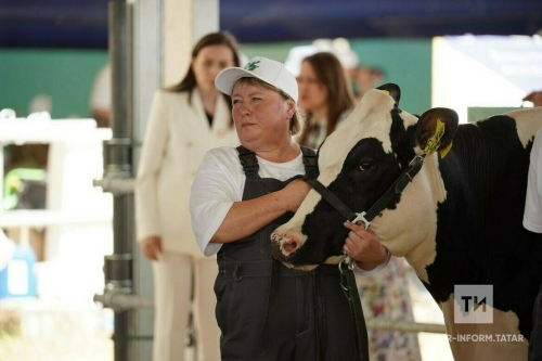 В рамках «Всероссийского дня поля – 2023» стартовал конкурс коров голштинской породы