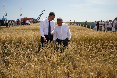 Минниханов и Патрушев открыли Всероссийский день поля в Татарстане