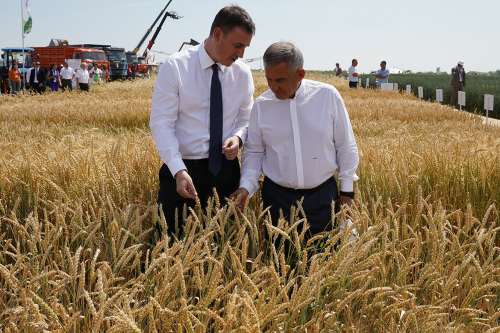 Z-трактор и картошка Самбо взамен голландской: Минниханов и Патрушев оценили новинки АПК