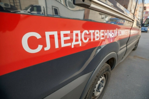 Бастрыкин поручил доложить о похищении матерью 9-летнего ребенка в Татарстане