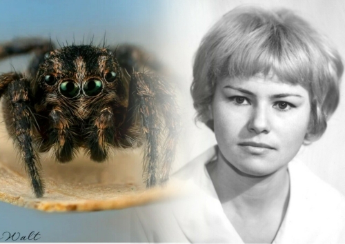 Новосибирская ученая назвала новый род пауков в честь своей мамы – татарки Манзумы апа