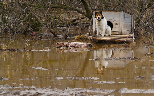 Из-за сильных осадков в четырех регионах России могут случиться подтопления