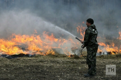 Из-за высокой пожарной опасности в Татарстане вновь объявили штормовое предупреждение