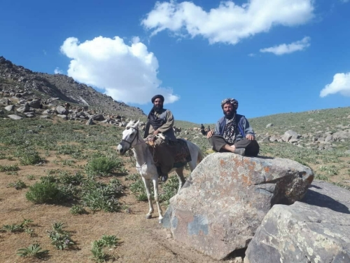 Проточная вода и меньше антибиотиков: афганский эксперт дал советы овцеводам Татарстана