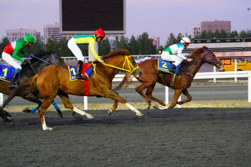 В Казани на ипподроме прошел конно-спортивный праздник