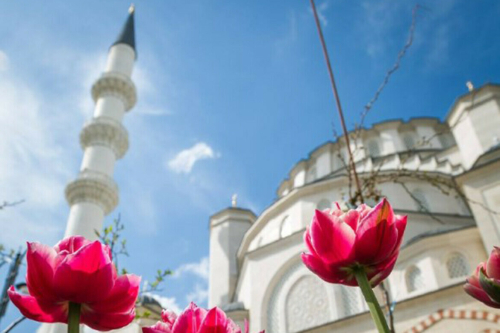 Османское барокко, модный минимализм и «объект мирового уровня»: будущие мечети России