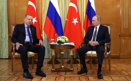 Стали известны темы предстоящего разговора Путина и Эрдогана