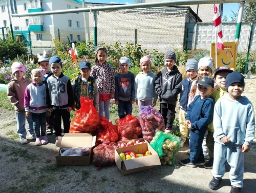 В Буинске дошкольники вырастили овощи для бойцов спецоперации