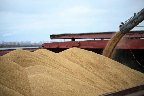 Татарстан экспортировал зерно почти на 12 млн долларов