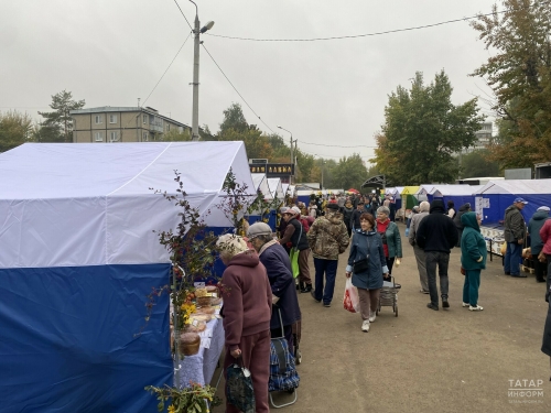В Татарстане стартовали субботние сельскохозяйственные ярмарки