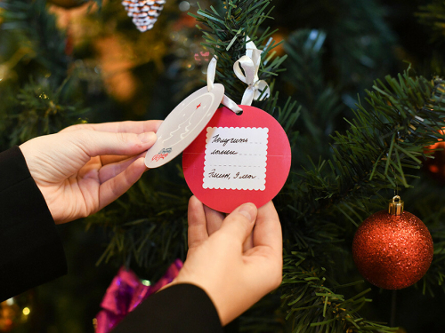 В столице Татарстана «Елку желаний» продлили до 30 января