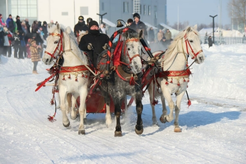 Игры «Аударыш» и запряженные тройки: фестиваль в Муслюмово собрал более 1,5 тыс. зрителей