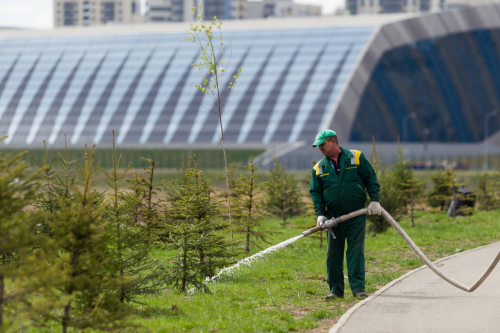 В Казани утвердили требования к компенсационному озеленению
