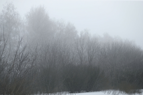 В Татарстане ожидается туман и до 4 градусов тепла