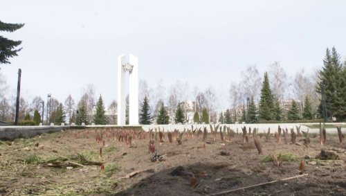 Нижнекамцев призвали не разрушать клумбы с будущими цветами