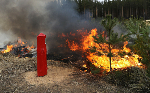 Штрафы вырастут в два раза: где риск пожаров в Татарстане выше и при чем тут шашлыки