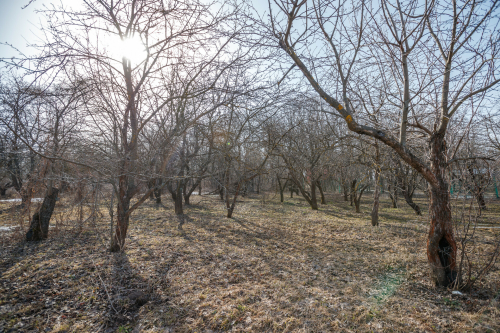 В Татарстане ожидается сильный ветер и до 14 градусов тепла